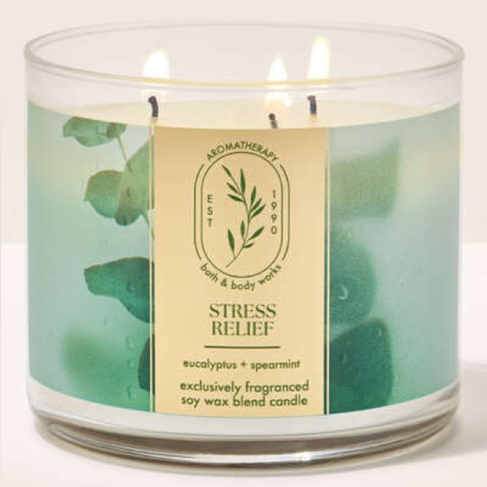 NEW Bath & Body Works Aromatherapy Stress Relief Candle - Eucalyptus & Spearmint